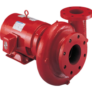 X Factor Motor Sport